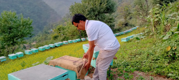 मौरी पालेर वार्षिक आठ लाख कमाउँदै केसी